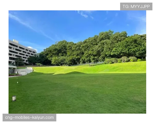 草坪条纹美学：深浅交替的视觉欺骗，草坪线条画